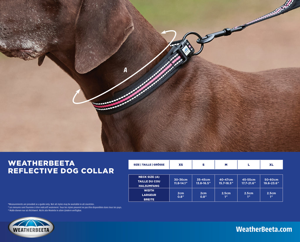 Weatherbeeta Reflective Dog Collar Size Guide | Online for Canine