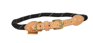 Buy Digby & Fox Reflective Dog Collar| Online for Canine