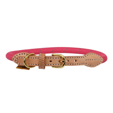 Buy Digby & Fox Reflective Dog Collar| Online for Canine