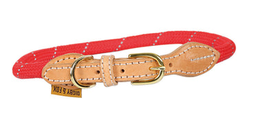 Buy Digby & Fox Reflective Dog Collar| Online for Canine