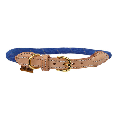 Buy Digby & Fox Reflective Dog Collar| Online for Canine