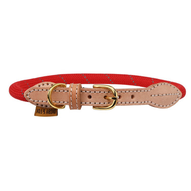 Buy Digby & Fox Reflective Dog Collar| Online for Canine
