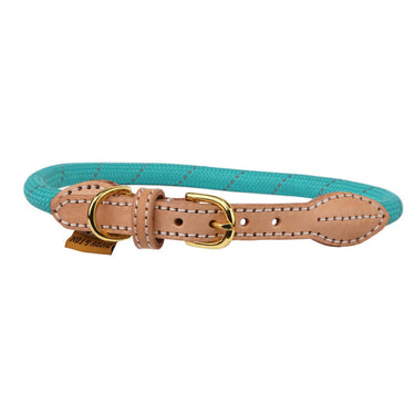 Buy Digby & Fox Reflective Dog Collar| Online for Canine