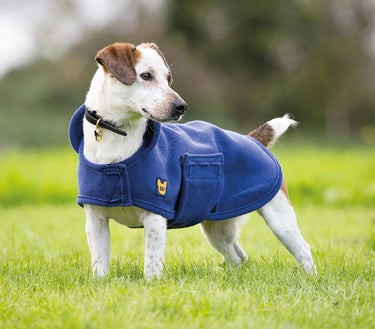 Buy Digby & Fox Dog Towel Coat| Online for Canine