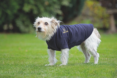 Buy Digby & Fox Fleece Dog Jumper| Online for Canine