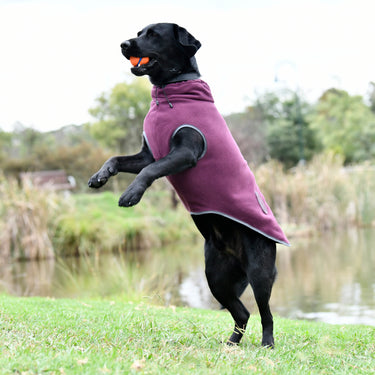 Buy Weatherbeeta Comfitec Maroon/Grey Fleece Zip Dog Coat | Online for Canine