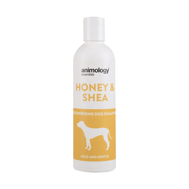 Buy Animology Essentials Honey & Shea Shampoo | Online for Canine