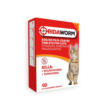 Buy Chanelle Ridaworm Cat Tablets | Online for Canine