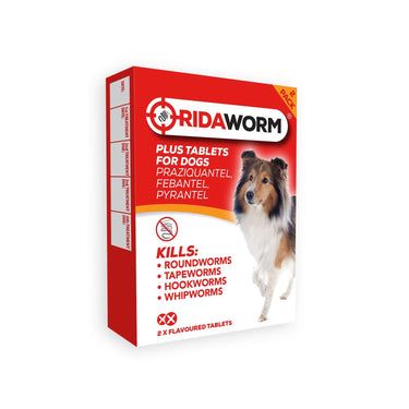 Buy Chanelle Ridaworm Plus Dog Tablets | Online for Canine