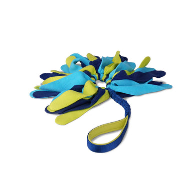 Buy Coachi Tuggi Spider | Online for Canine