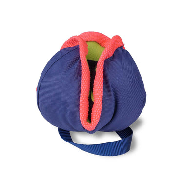 Buy Coachi Chase & Treat | Online for Canine