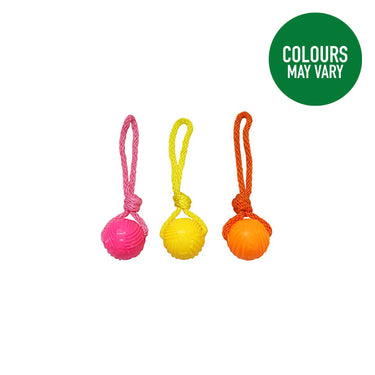 Buy Good Boy Fetch Glow In The Dark Ball On Rope | Online for Canine