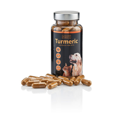 Buy Golden Paste Company Turmeric Capsules For Pets | Online for Canine