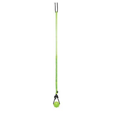 Buy Jolly Pets Tree Tugger | Online for Canine
