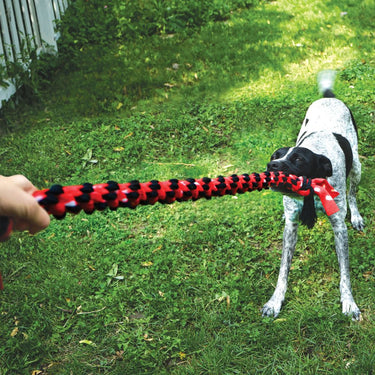Buy Kong Signature Rope Mega Dual Knot | Online for Canine