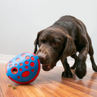 Buy Kong Rewards Wally | Online for Canine
