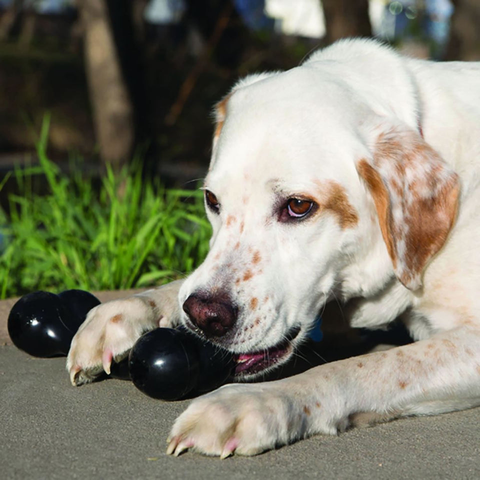 Kong Dog Toys UK | Durable & Interactive Chew Toys for Dogs | Online ...