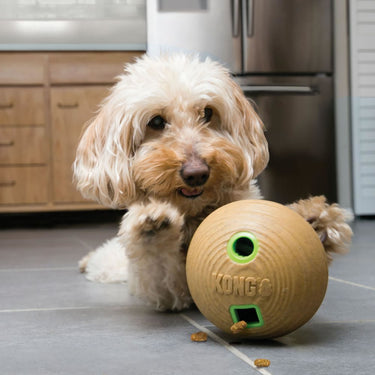 Buy Kong Bamboo Feeder Ball | Online for Canine