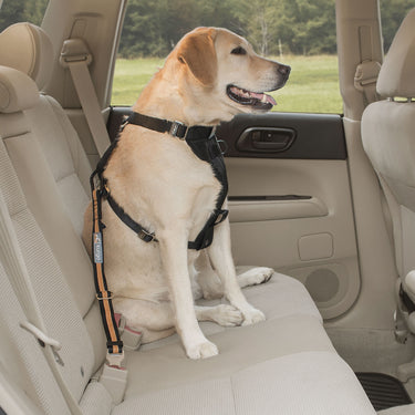 Kurgo Direct To Seatbelt Tether