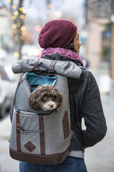 Buy Kurgo K9 Rucksack | Online for Canine