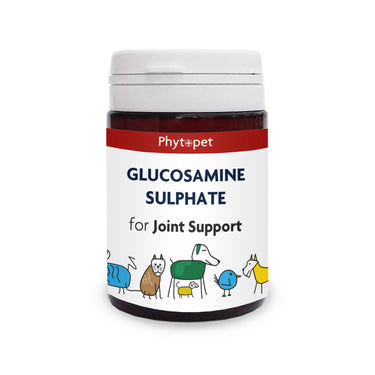 Buy Phytopet Glucosamine Sulphate 500Mg | Online for Canine
