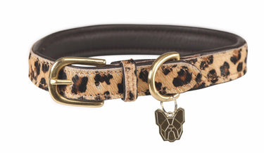 Buy Digby & Fox Cow Hair Dog Collar| Online for Canine