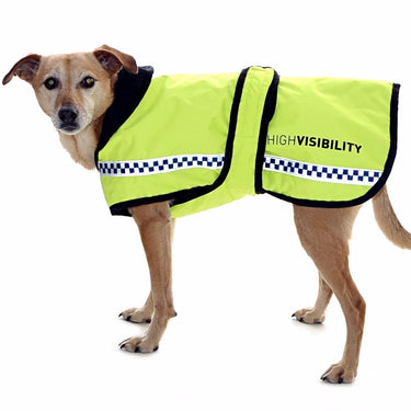 Buy Equisafety Hi Vis POLITE Waterproof Dog Jacket -POLITE-Small| Online for Canine