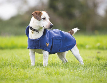 Buy Digby & Fox Dog Towel Coat| Online for Canine