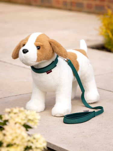 Buy LeMieux Toy Puppy Jack| Online for Canine