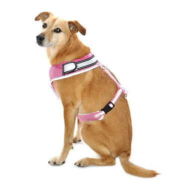 Buy Equisafety LED Flashing Hi Vis Reflective Dog Harness| Online for Canine