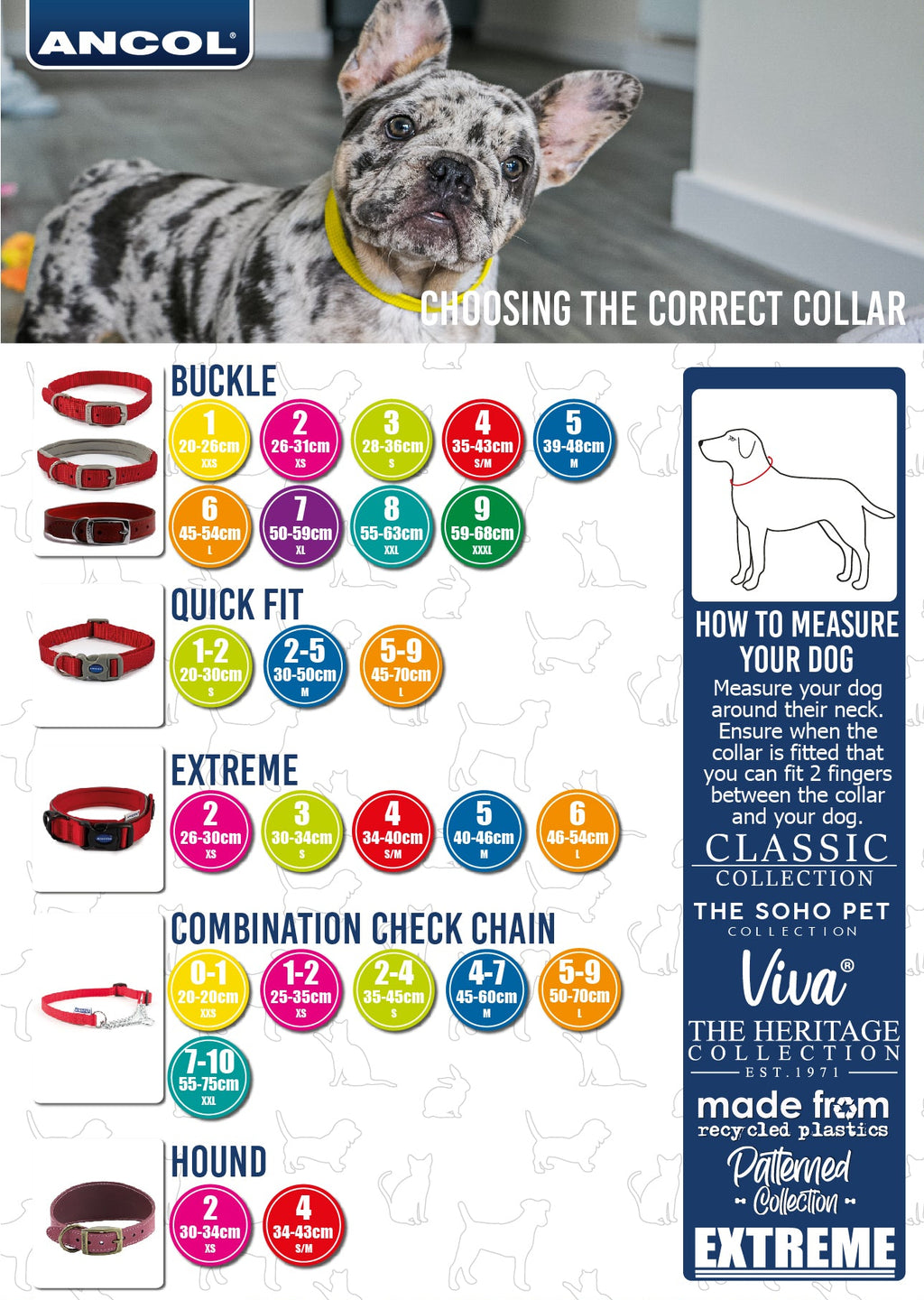 Ancol Dog Collar Sizing | Online for Canine