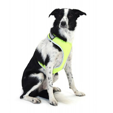 Buy Equisafety LED Flashing Hi Vis Reflective Dog Harness| Online for Canine